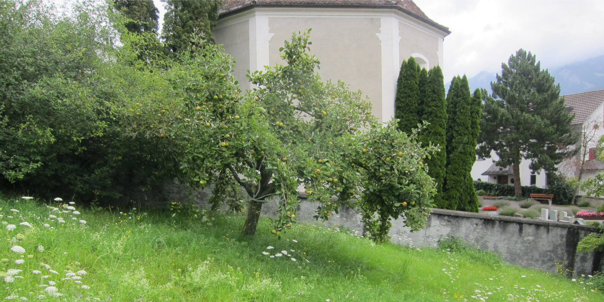 ENTWICKLUNG CHIRCHABÖNGERTLI, Haldenstein